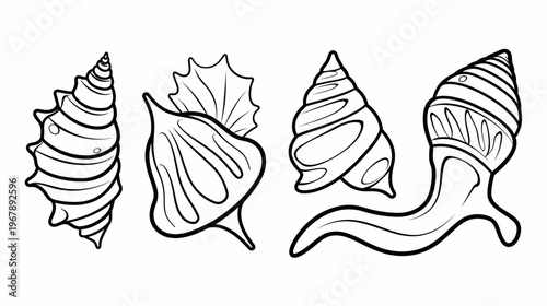 Four distinct seashell outlines are arranged in a row, isolated on a white canvas