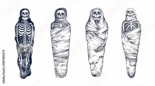 Four mummified figures, each wrapped differently, on a white background, black & white