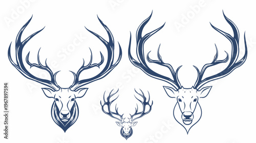Three deer head illustrations with large antlers, sketch style on a white background