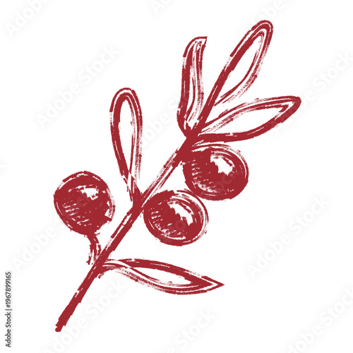 hand drawn Olive Branch illustration