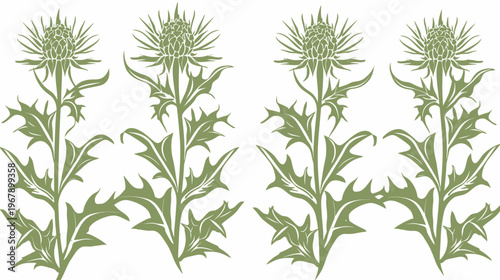 Four stylized, olive-green thistle plants against a white background in a symmetrical pattern