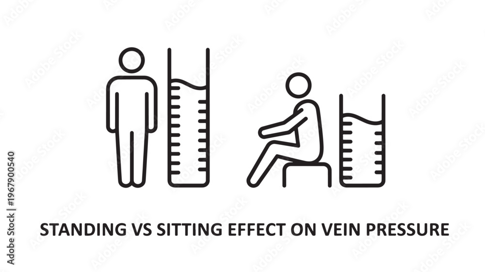 Fototapeta premium An illustration comparing the effects of standing and sitting on vein pressure, showing a standing person with lower vein pressure and a sitting person with higher vein pressure.