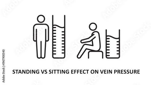 An illustration comparing the effects of standing and sitting on vein pressure, showing a standing person with lower vein pressure and a sitting person with higher vein pressure.