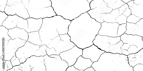 A high-contrast, black and white texture overlay of extensively cracked and distressed dry ground, featuring jagged, organic fissures and subtle granular details against a stark white background.	