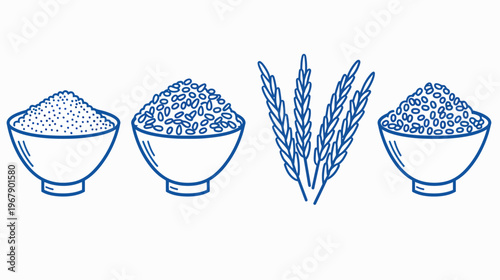 Rice varieties and stalks shown in blue outline against a bright white background