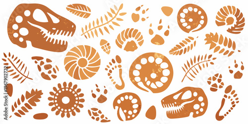 Paleontological illustrations dinosaur skulls fossils and prehistoric plant life