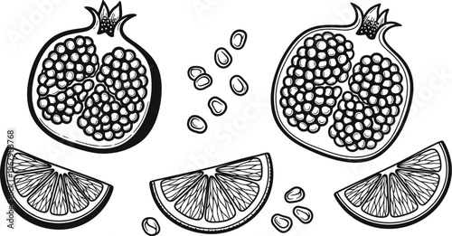 Pomegranate seeds and orange slices hand drawn vector set