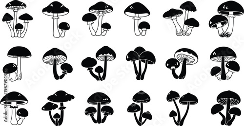 Collection of mushroom silhouettes featuring various fungi shapes forest elements botanical set black and white vector illustration design
