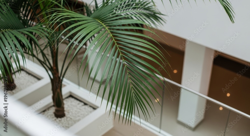 Fototapeta premium Palm tree, indoor plant and greenery in modern interior design with tropical foliage creating a relaxing atmosphere for office space decoration. Biophilic design, wellness and nature with vibrant
