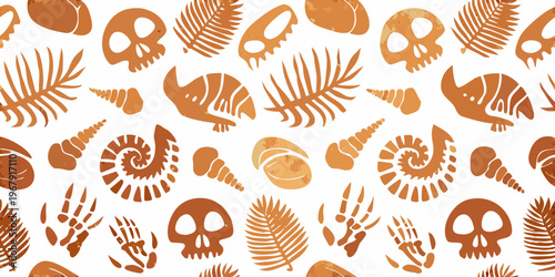 Pattern of fossilized skeletons shells and prehistoric plant life