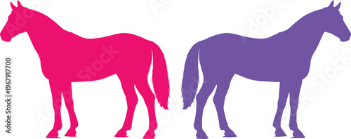 Vibrant horse silhouettes, a pair of standing equine vector illustrations in bold pink and purple, perfect for equestrian branding or animal-themed designs