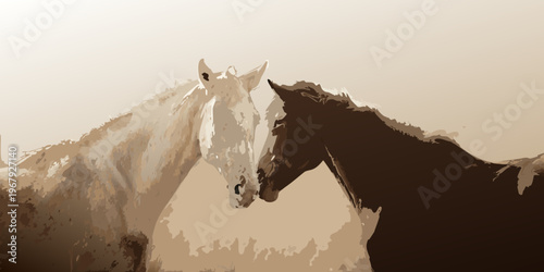 Two horses one white and one black are facing each other closely