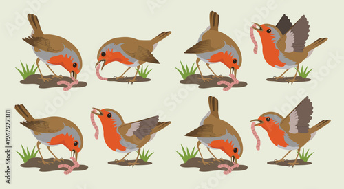 Robin eating worm illustration, step-by-step vector sequence of a bird feeding in natural habitat, ideal for nature-themed designs, wildlife guides, and storytelling graphics.