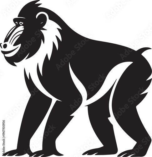 Mandrill primate silhouette graphic illustration on white background