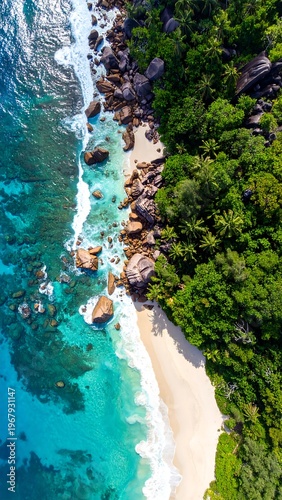 Aerial view of a serene beach with turquoise water and lush greenery (2)