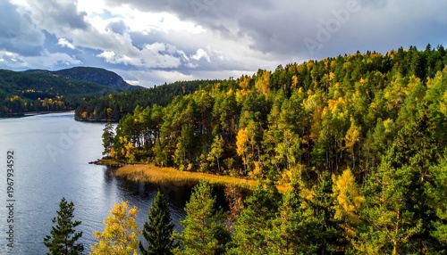 Aerial view of a serene lake surrounded by a forest