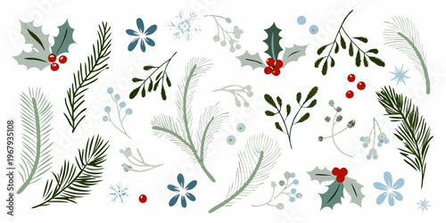 Festive botanical illustration featuring winter foliage and delicate floral accents