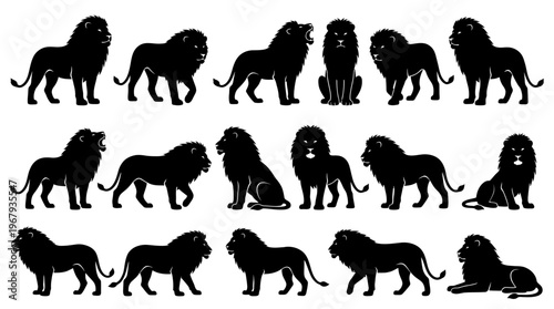 "Lion Silhouettes Vector Illustration, Majestic Animal Poses, Black Wildlife Shapes, Detailed Mane, Standing, Walking, Sitting, Lying Down, Artistic Design, Zoology Reference, Powerful Predator"
