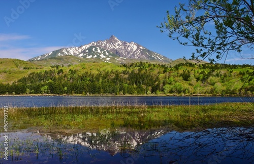 Wallpaper Mural 利尻島　初夏の風景 Torontodigital.ca
