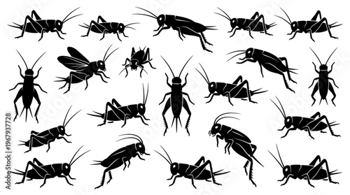 Cricket Insect Silhouette Vector Illustration Collection | Black Cricket Artwork | Diverse Cricket Vector Designs for Nature, Entomology, Logos, Decorative Branding, and Creative Graphic Projects