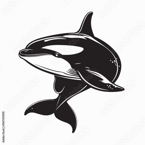 Killer Whale Silhouette Icon Isolated on White Background
