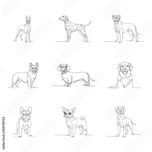 Detailed line drawings of various dog breeds in standing and sitting poses