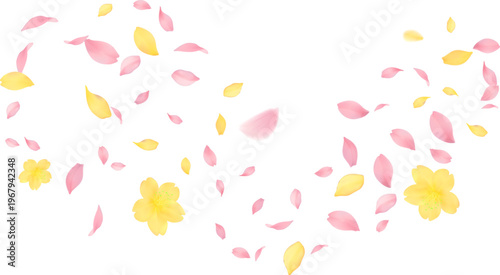 pink and yellow cherry blossom petals and small flowers flying and scattering in a graceful double wave