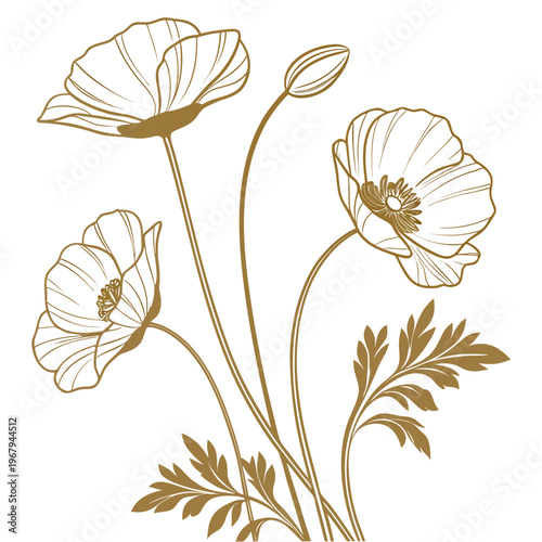 Golden poppy flowers and leaves on in elegant line art style for decoration