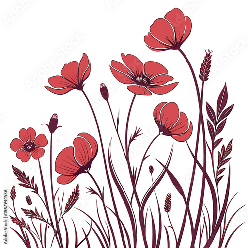 Beautiful red poppy flowers and grass for design
