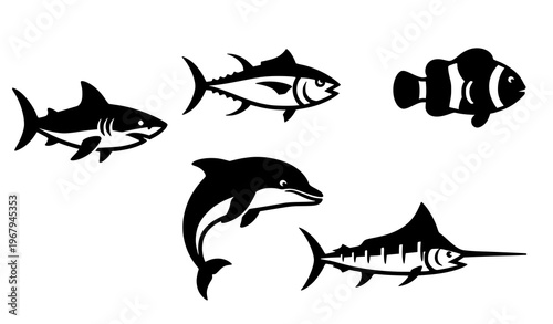 Marine animal icon set shark dolphin fish solid vector