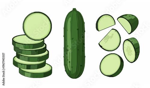 Vertical cucumber icon set fresh vegetable vector illustration