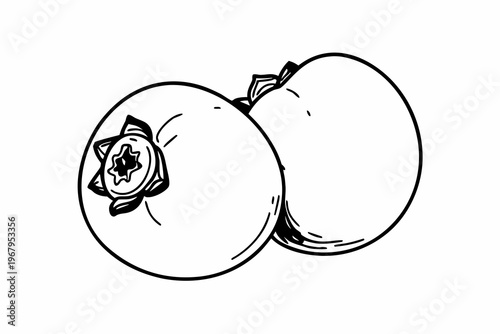 A minimalist line art illustration of two peaches with a simple white background