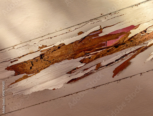 Wallpaper Mural An interior house wall damaged by termites hidden behind paint revealing hollow wood and structural decay problems. Torontodigital.ca