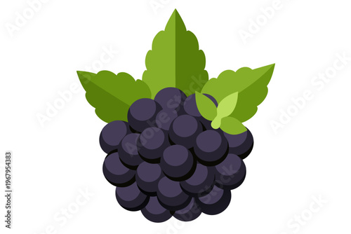 A vector graphic illustration of a bunch of blackberries with green leaves on a white background