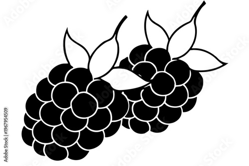 A minimalist vector illustration of a cluster of blackberries with leaves on a white background