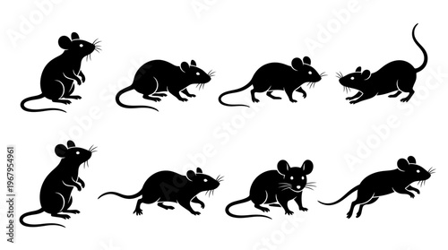 Mice Vector Silhouettes Collection Rodent Animal Illustration Standing Walking Sniffing Upright Crouching Whiskers Long Tail Black Outline Graphic Art Clipart Design