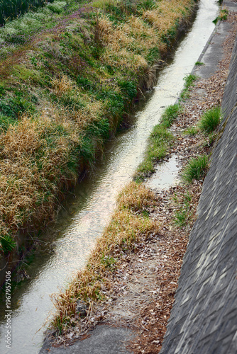 田畑の脇を流れる水路