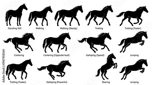 Vector Silhouettes of Horses in Motion Sequence Showing Running Gait Progression, Equine Locomotion Study, Dynamic Animal Movement Illustration, Biomechanics Graphic Art Design