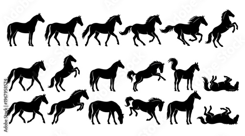 Vector Silhouettes of Horses in Motion Sequence Showing Running Gait Progression, Equine Locomotion Study, Dynamic Animal Movement Illustration, Biomechanics Graphic Art Design