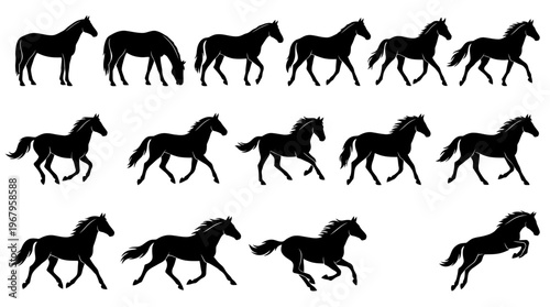 Vector Silhouettes of Horses in Motion Sequence Showing Running Gait Progression, Equine Locomotion Study, Dynamic Animal Movement Illustration, Biomechanics Graphic Art Design