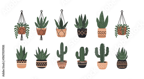 Collection of Potted Cacti and Succulents.