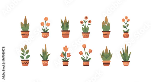 Collection of Potted Plants and Flowers 2.