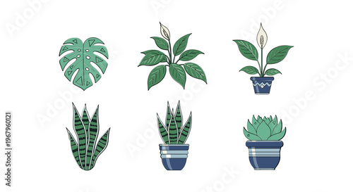 Collection of Potted Plants and Leaves 1.