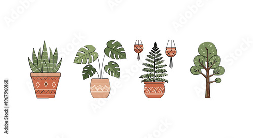 Collection of Potted Plants and Tree.