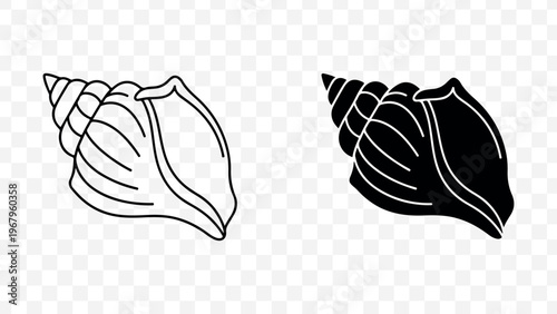 Minimalist seashell line art icons in black and white for design elements isolated on Transparent Background