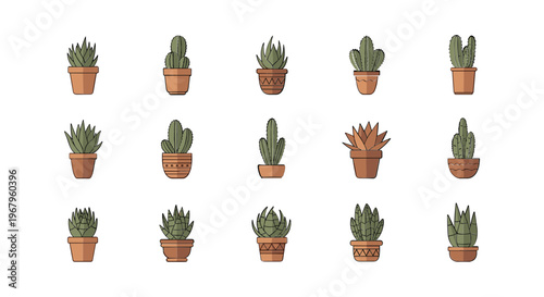 Collection of Various Cacti and Succulents in Pots.