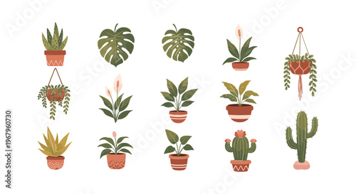 Collection of Various Houseplants in Pots.