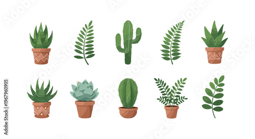 Collection of Various Potted Plants and Cacti 5.