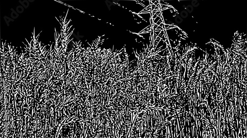 Abstract Edge-Detected Landscape of Grass and Power Linesabstract backgroun
