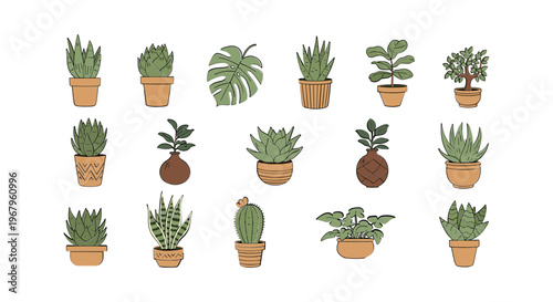 Collection of Various Potted Plants and Cacti 18.